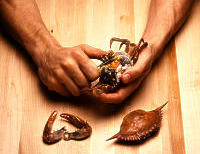 Photo depicting step three of cracking into a crab.