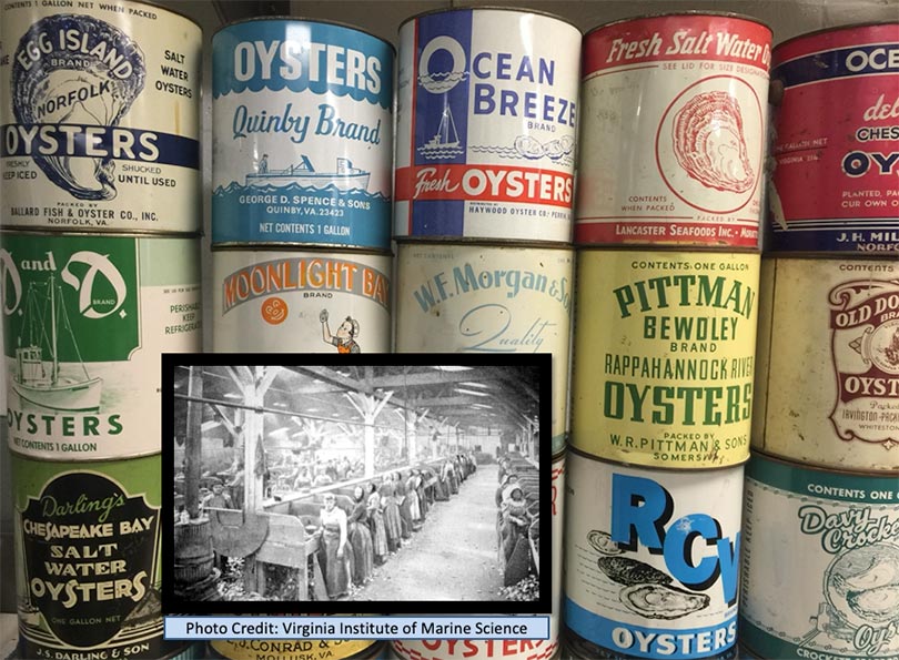 Virginia has a rich history in the oyster shucking business.